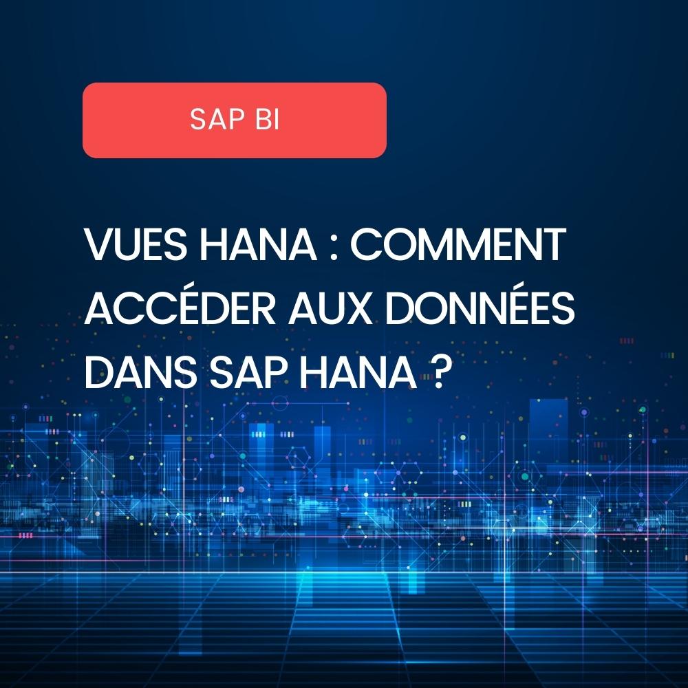 vues-hana-comment-acc-der-aux-donn-es-dans-sap-hana