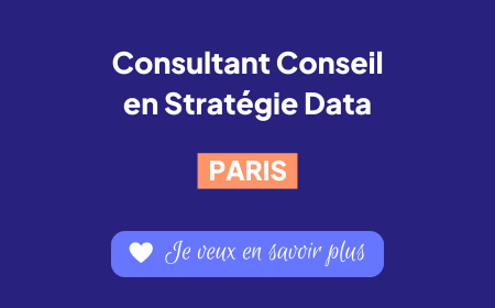 Recrutement consultant conseil en stratégie Data - DeciVision Paris
