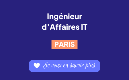 Recrutement Ingénieur d'Affaires IT - DeciVision Paris