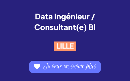 Recrutement consultant BI Lille