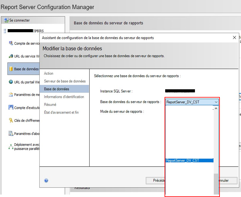 Report Server connection configuration